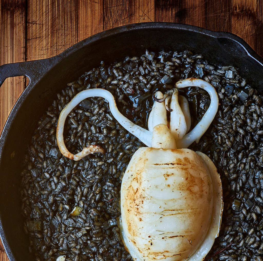 NORTINDAL CUTTLEFISH INK