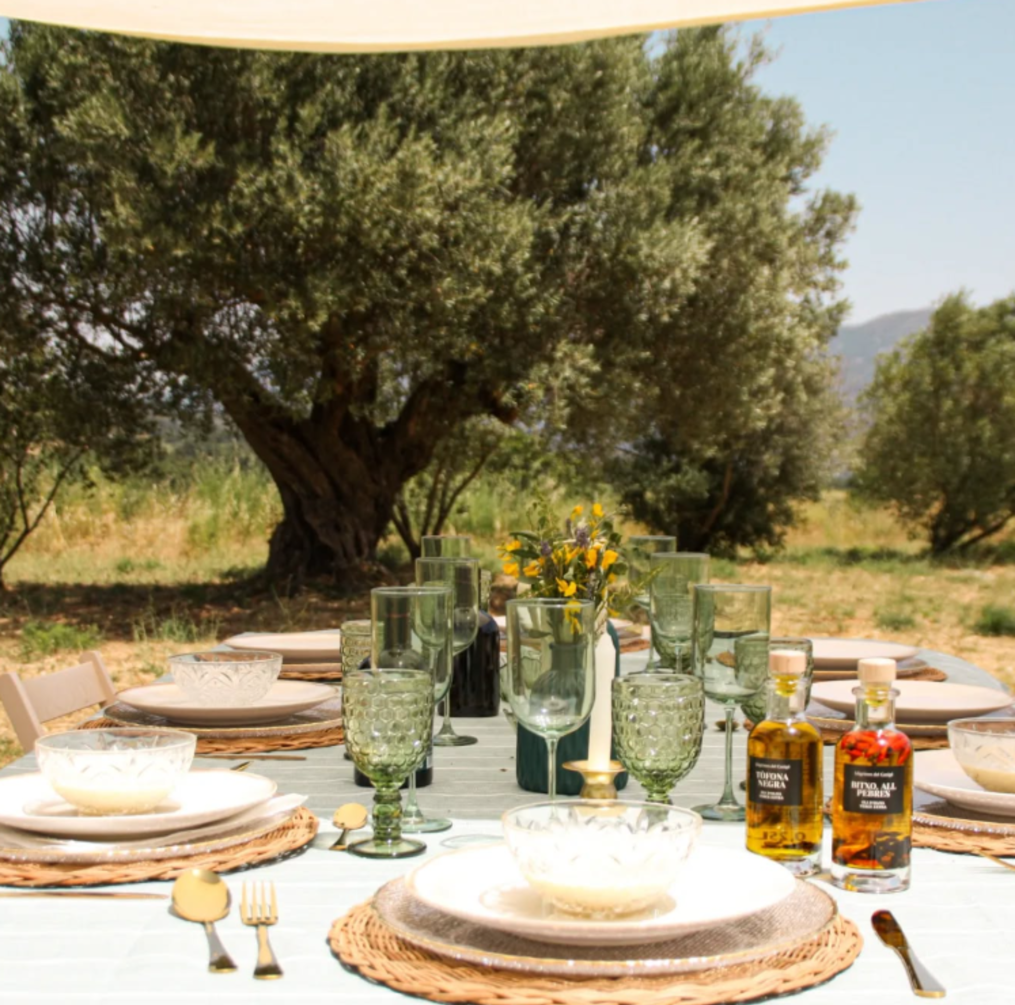 EVOO INFUSED WITH THYME