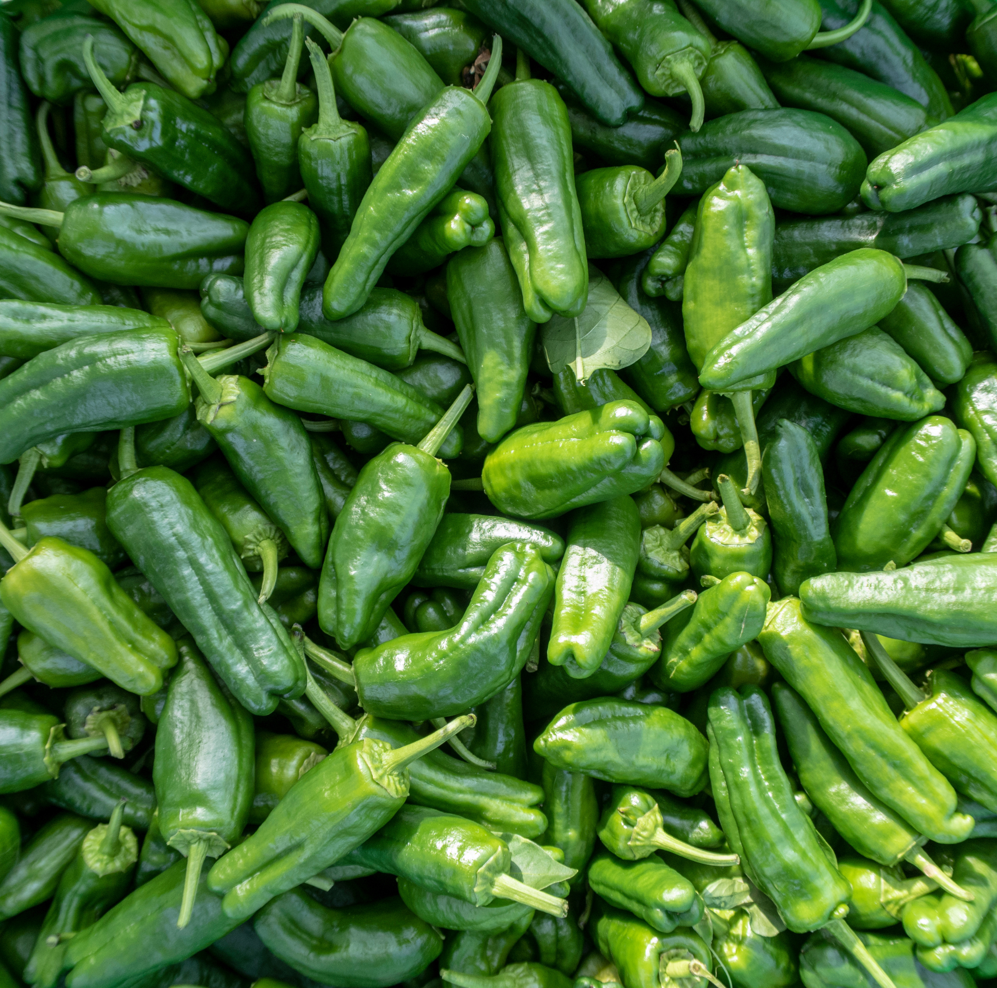 Close-up of a pile of green peppers