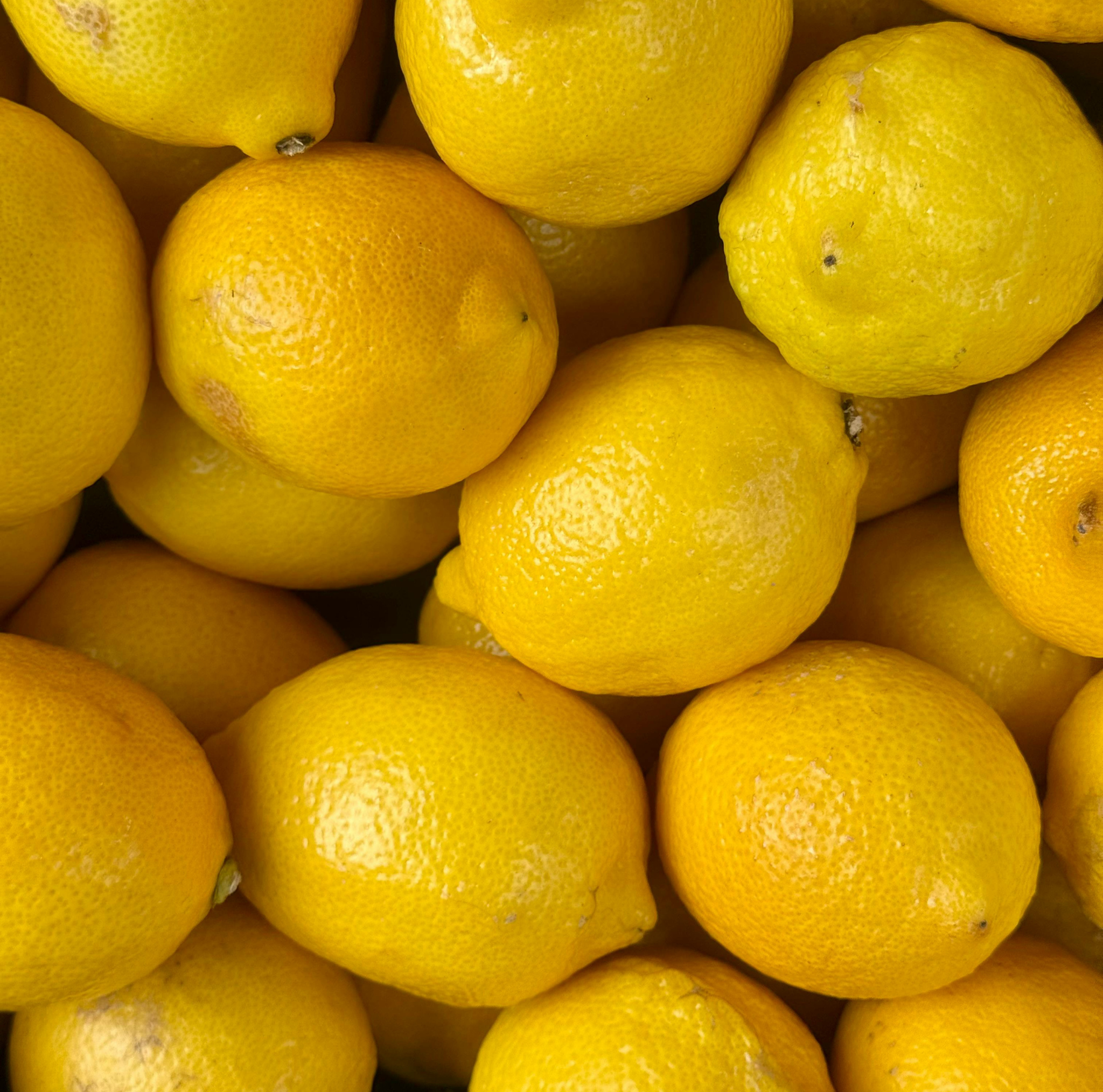 Close-up of a pile of yellow lemons