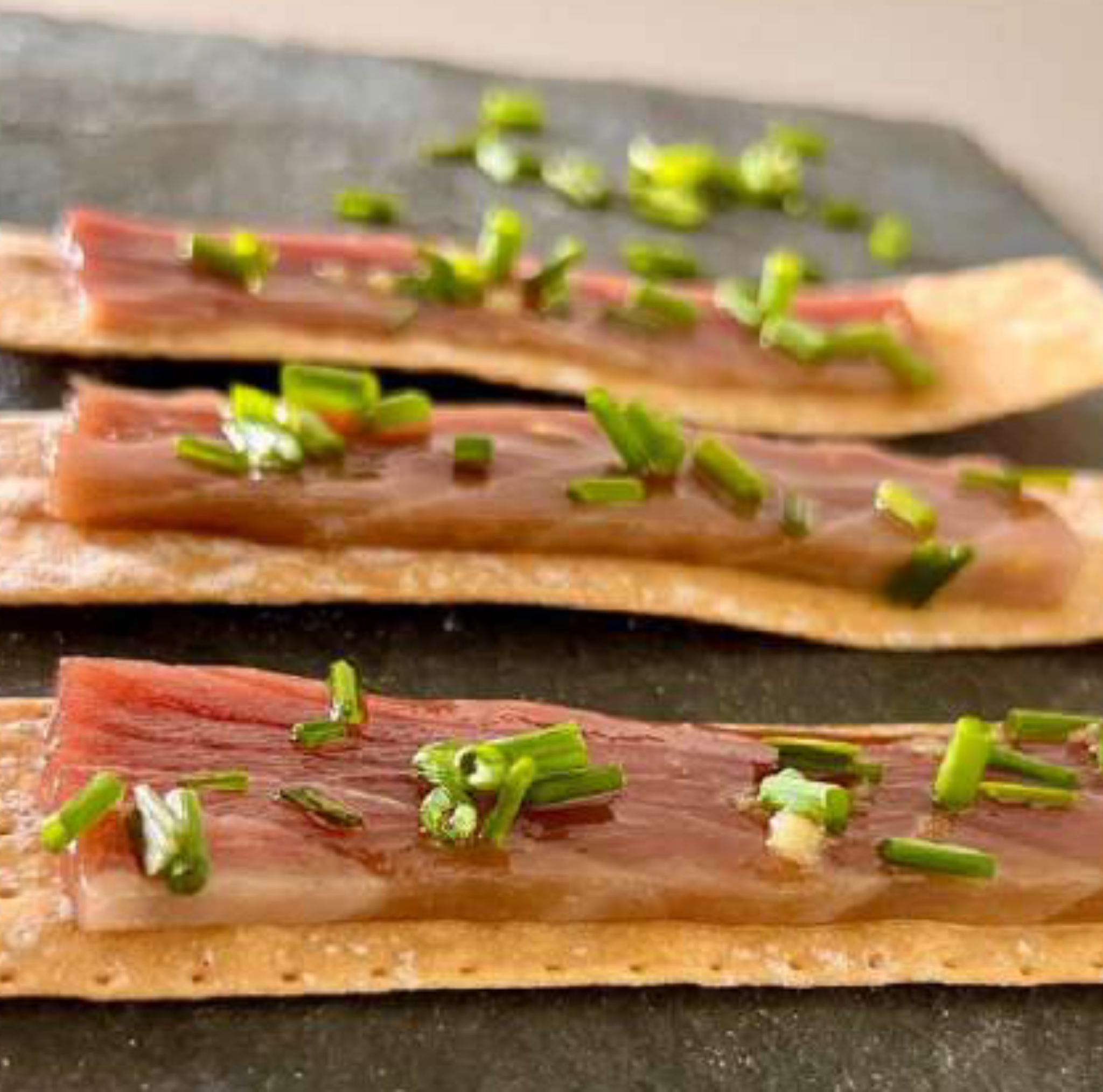 BREAD THINS. LAMINAS DE PAN